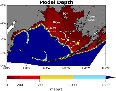 Modeled Effect of Coastal Biogeochemical Processes, Climate Variability, and Ocean Acidification on Aragonite Saturation State in the Bering Sea